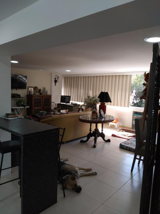 Charming Sunny Bedroom Overlooking Beautiful Amsterdam Avenue In Best Condesa Area Cidade do México Exterior foto