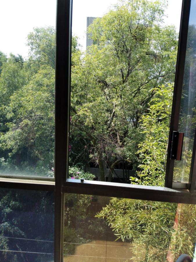 Charming Sunny Bedroom Overlooking Beautiful Amsterdam Avenue In Best Condesa Area Cidade do México Exterior foto