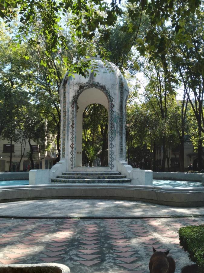 Charming Sunny Bedroom Overlooking Beautiful Amsterdam Avenue In Best Condesa Area Cidade do México Exterior foto